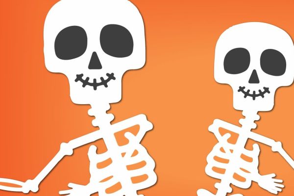 Колко точно са костите в човешкото тяло?